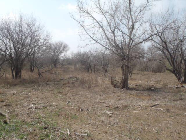 Image 8 of 32 For 1580 Pooley Rd