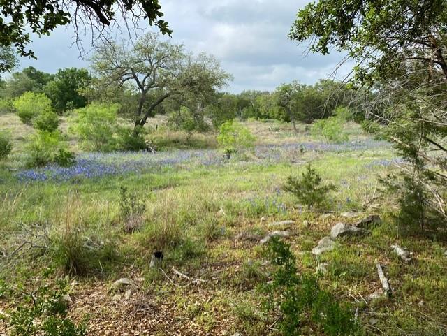 Details for 1365 Pedernales Hills Rd, Johnson City, TX 78636
