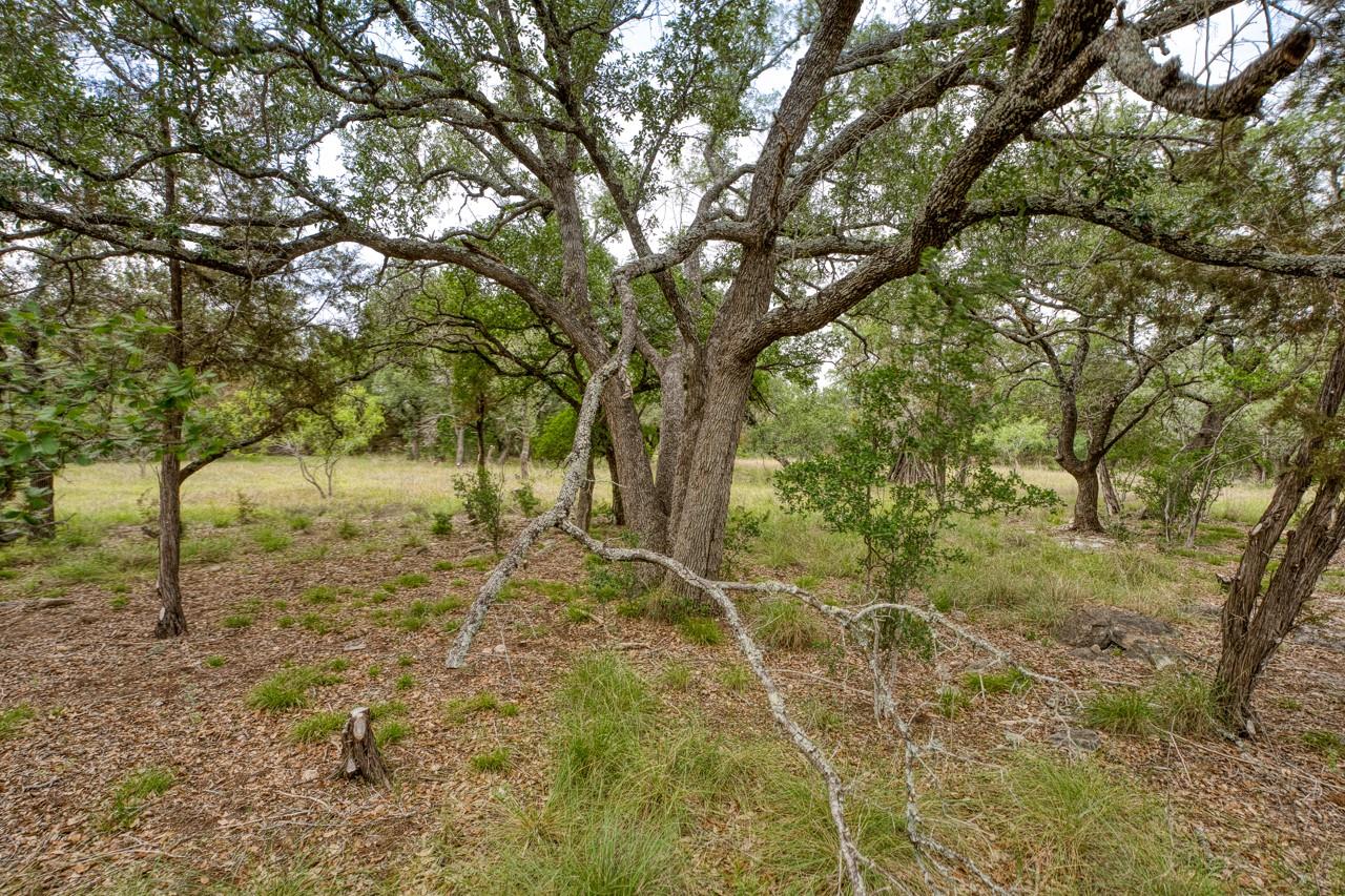 Image 12 of 28 For 1365 Pedernales Hills Rd