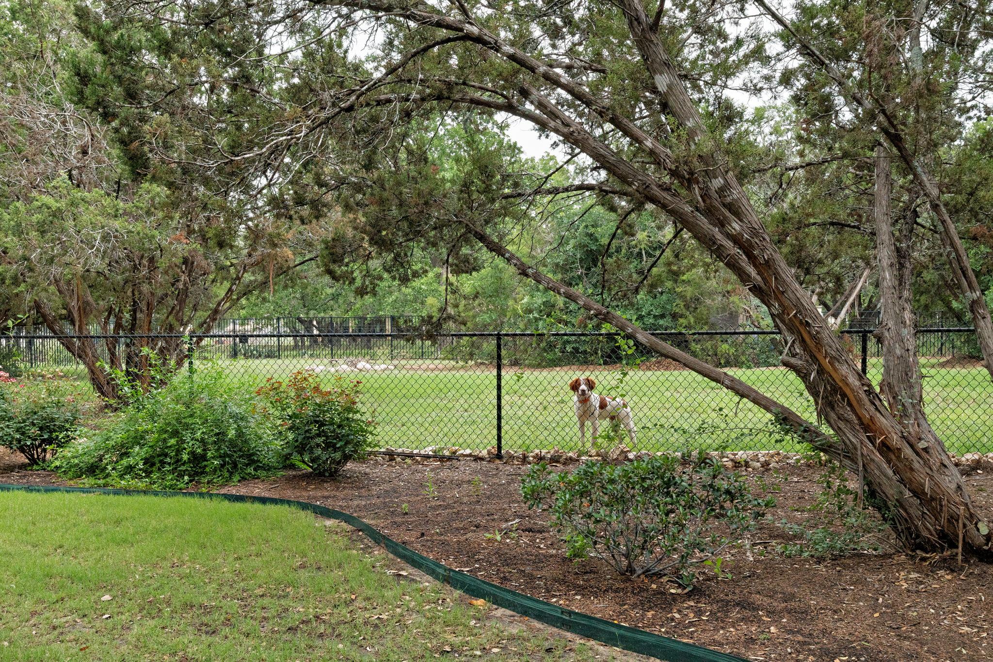 Image 38 of 40 For 205 Red Mulberry Way