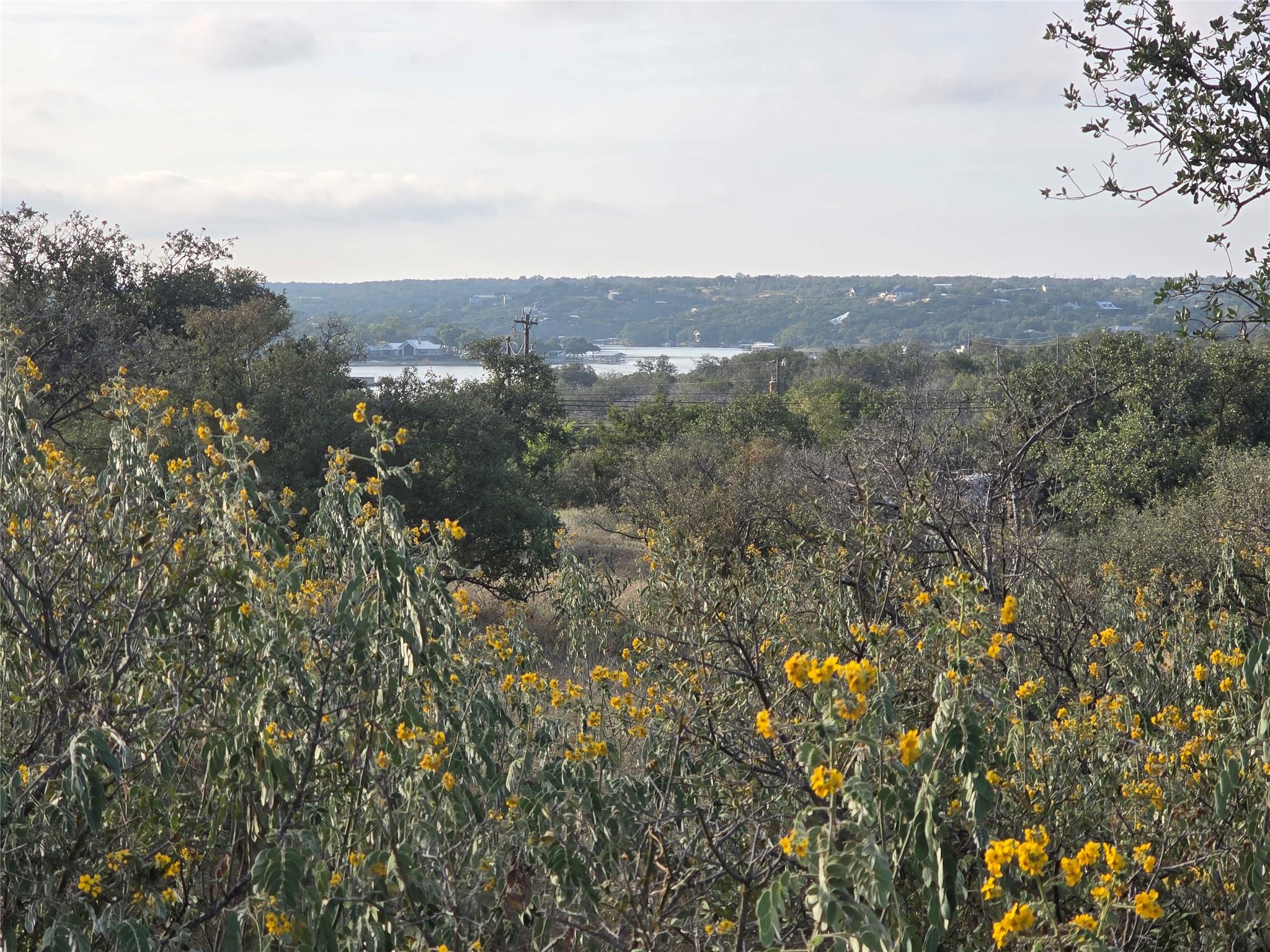 Details for Tbd Wolf Creek Rand Rd, Burnet, TX 78611