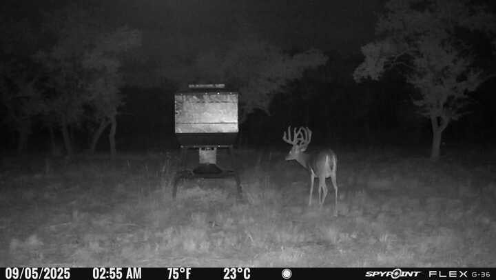 Image 19 of 30 For 7819 Ranch To Market Road 2766 Rnch