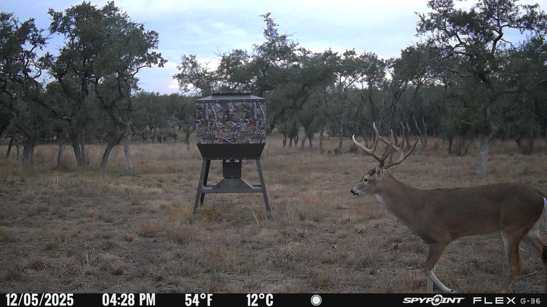 Image 20 of 30 For 7819 Ranch To Market Road 2766 Rnch