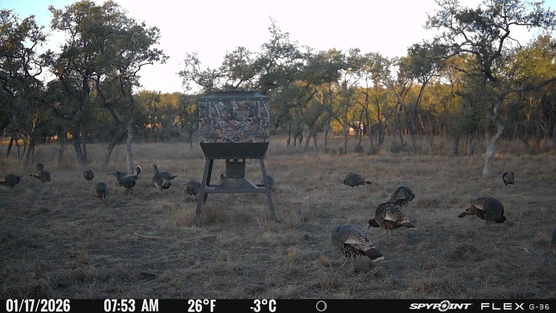 Image 21 of 30 For 7819 Ranch To Market Road 2766 Rnch