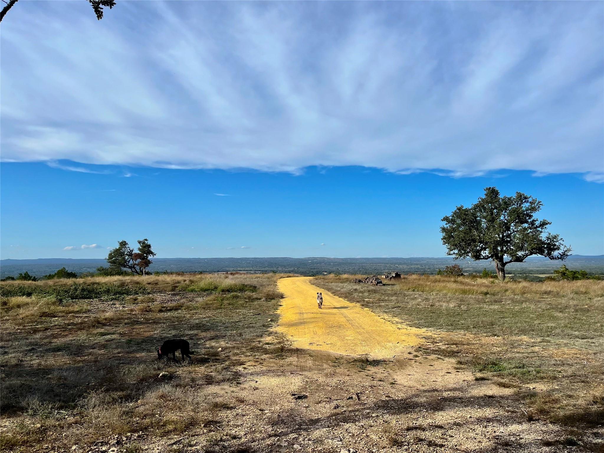 Image 26 of 30 For 7819 Ranch To Market Road 2766 Rnch