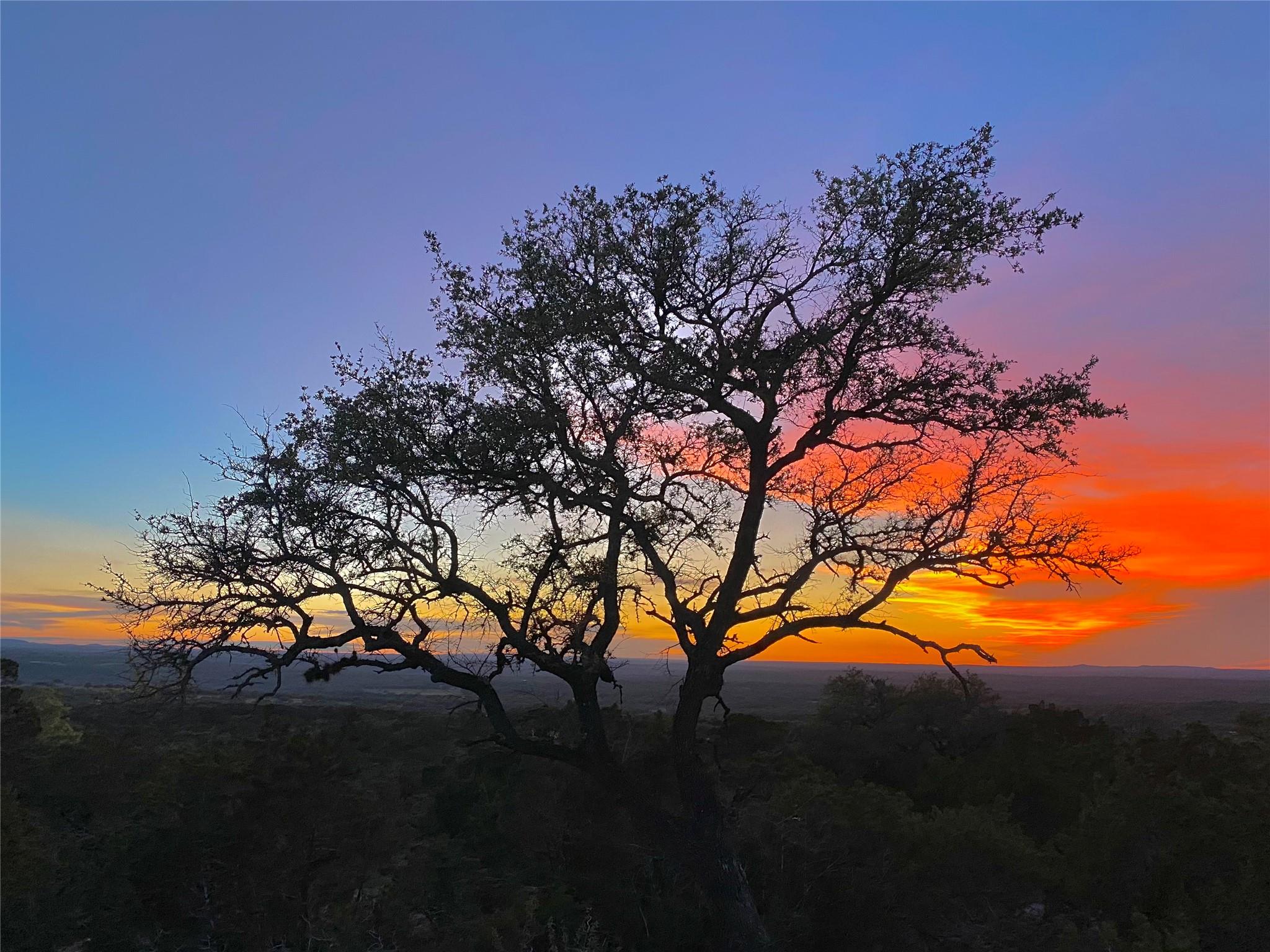 Image 29 of 30 For 7819 Ranch To Market Road 2766 Rnch