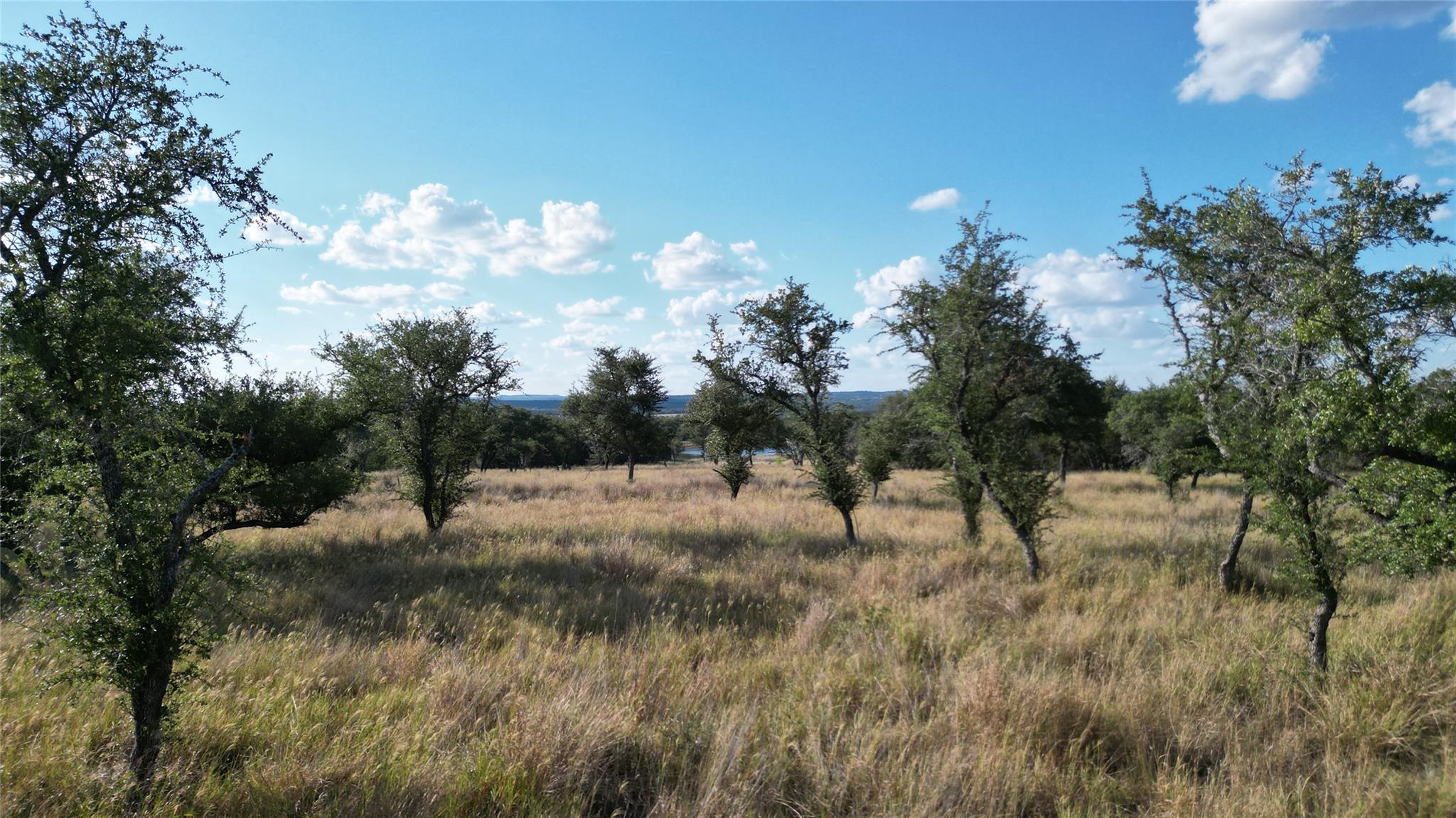 Image 8 of 30 For 7819 Ranch To Market Road 2766 Rnch