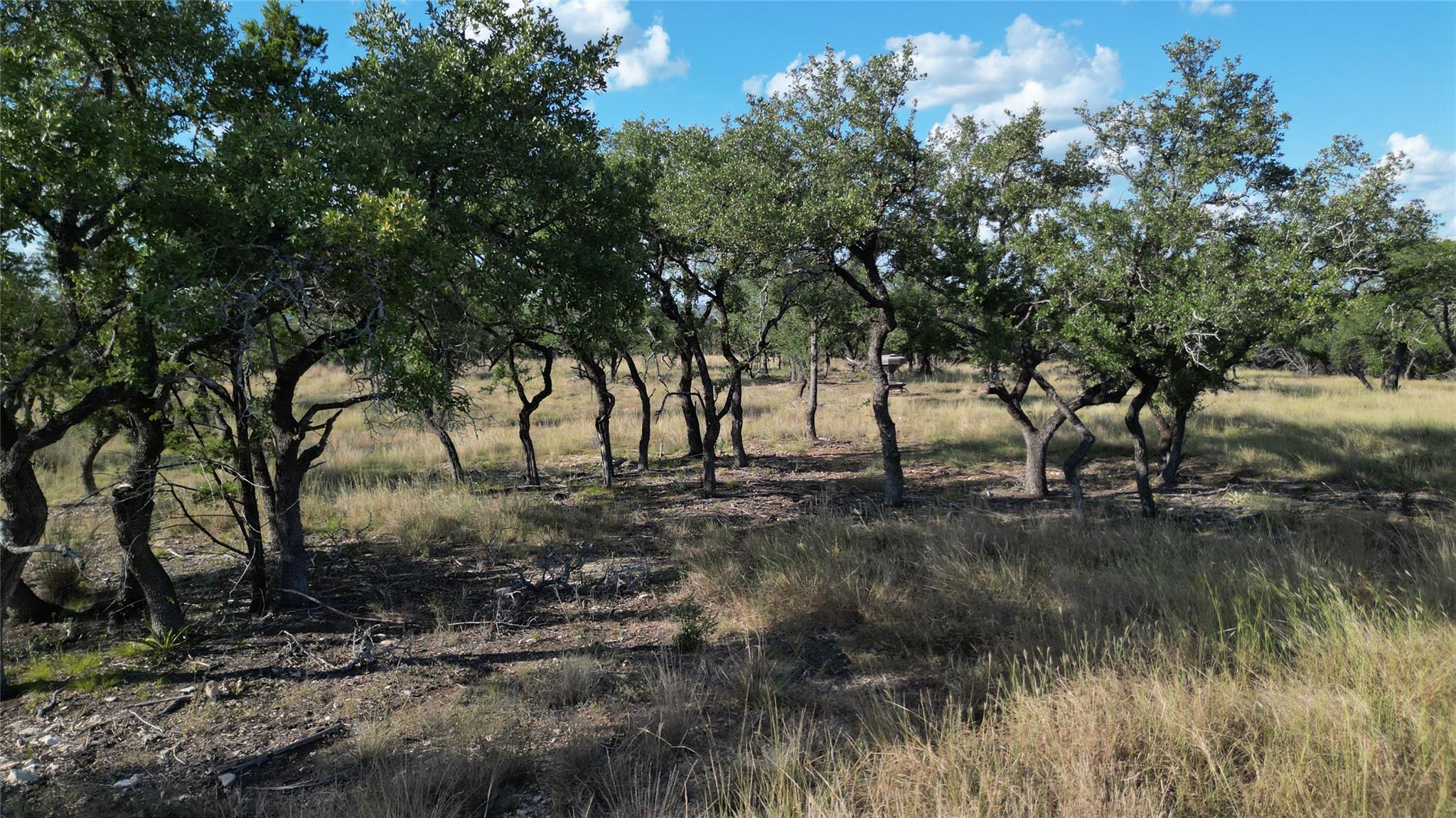 Image 9 of 30 For 7819 Ranch To Market Road 2766 Rnch