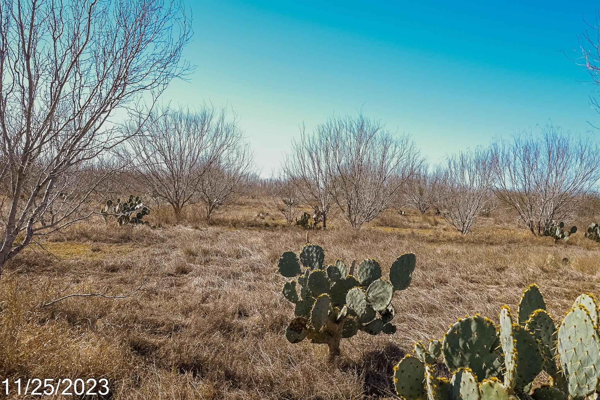 Image 16 of 32 For 000 Us Hwy 85