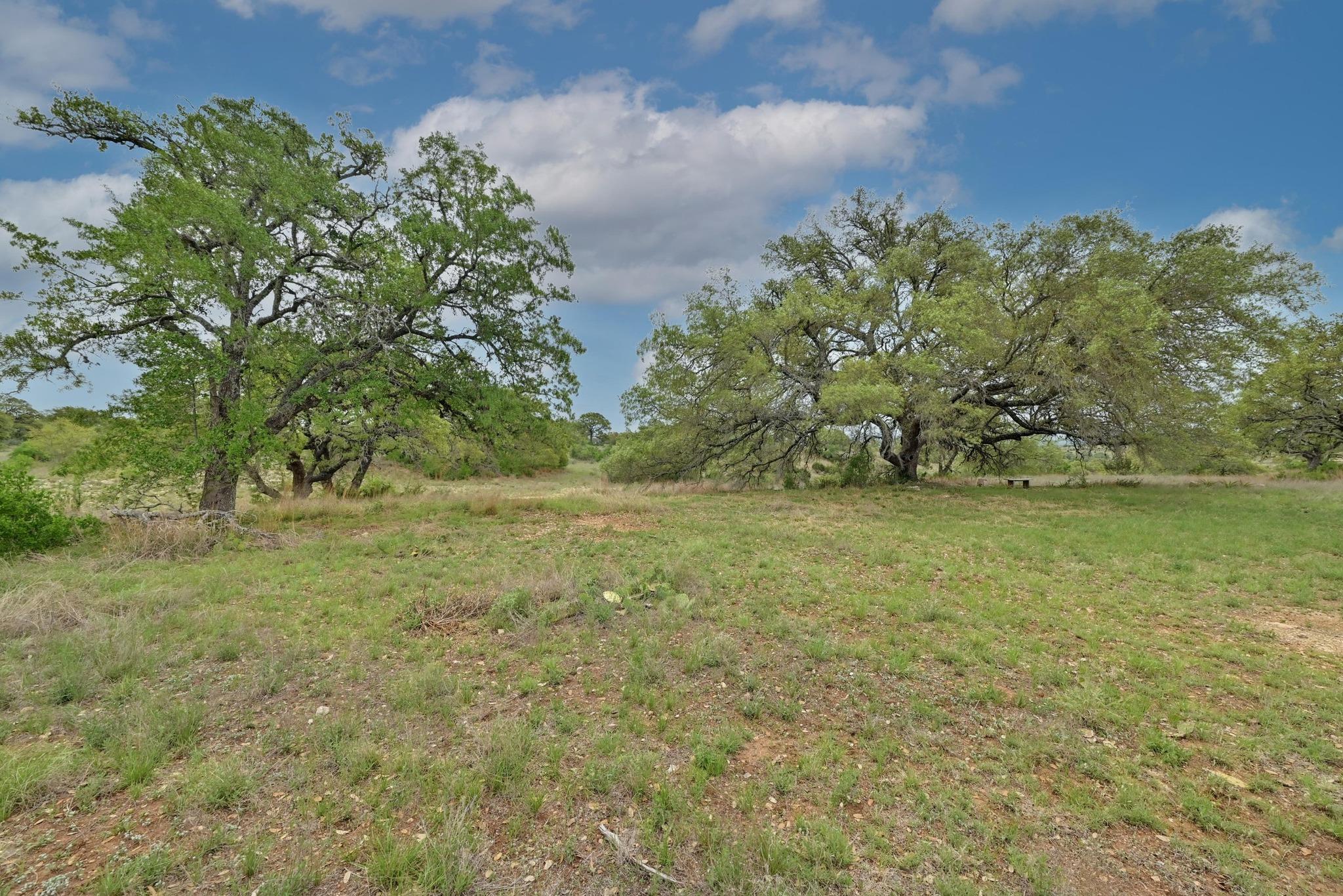 Image 15 of 27 For 195 Cypress View Dr