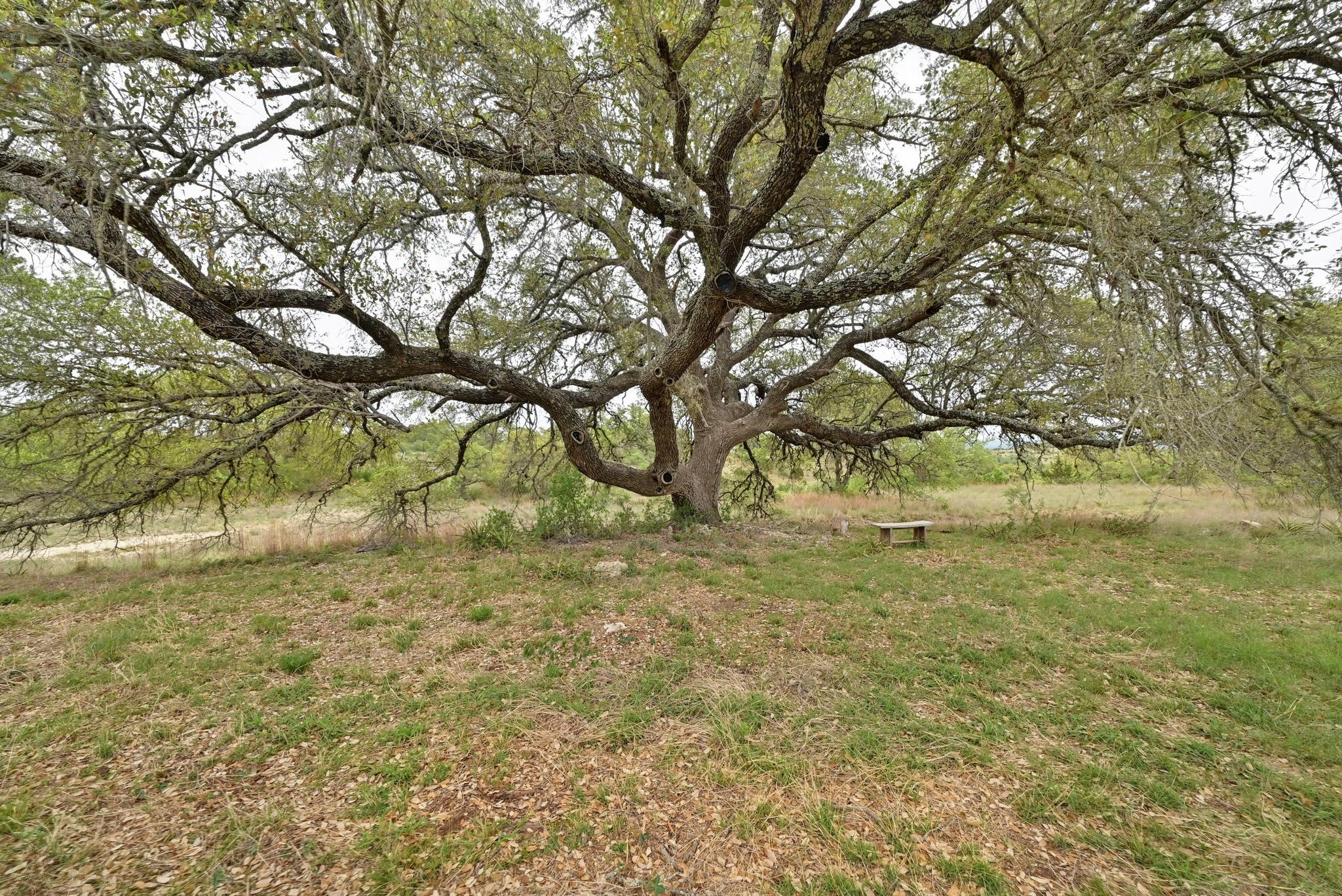 Image 16 of 27 For 195 Cypress View Dr