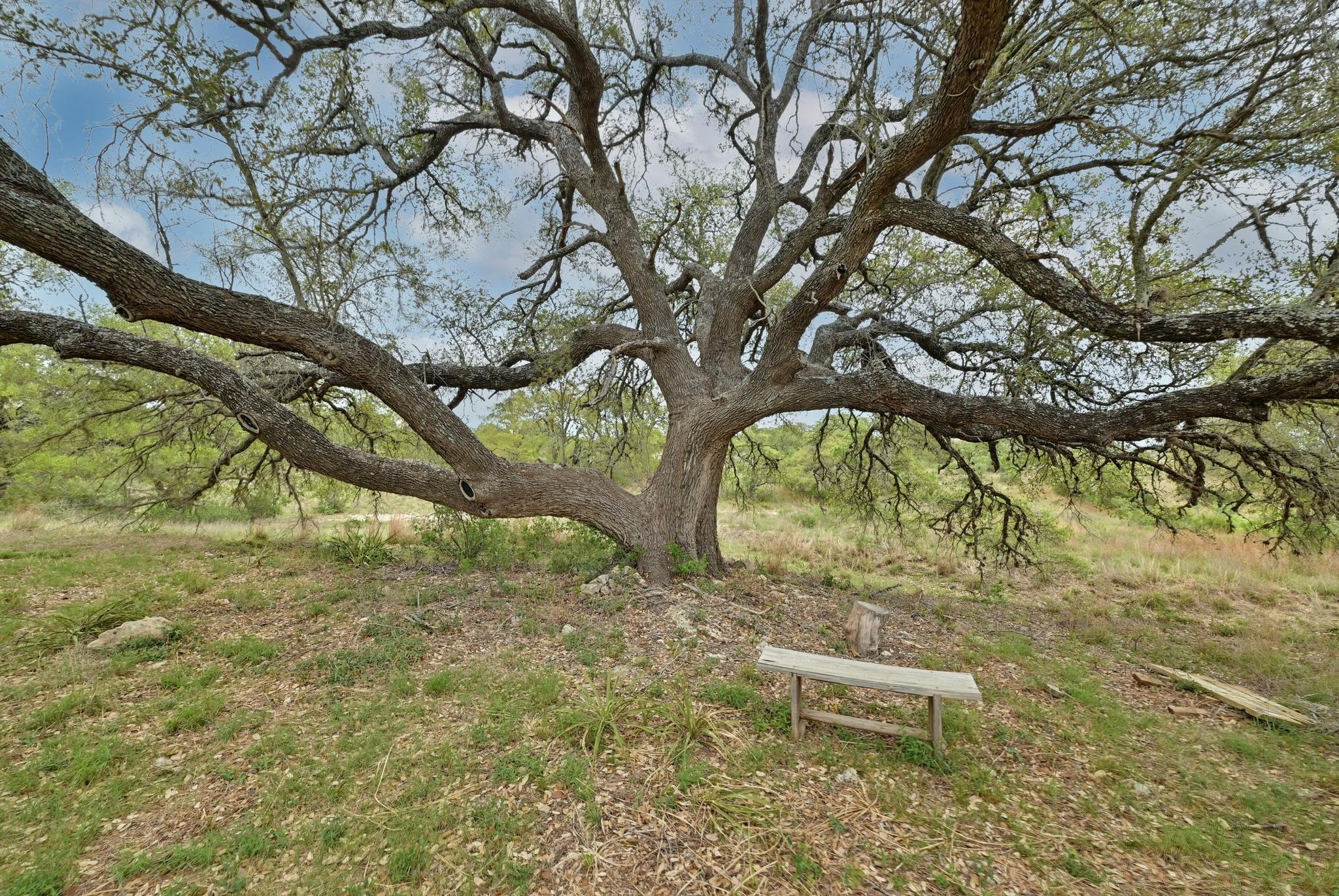 Image 17 of 27 For 195 Cypress View Dr