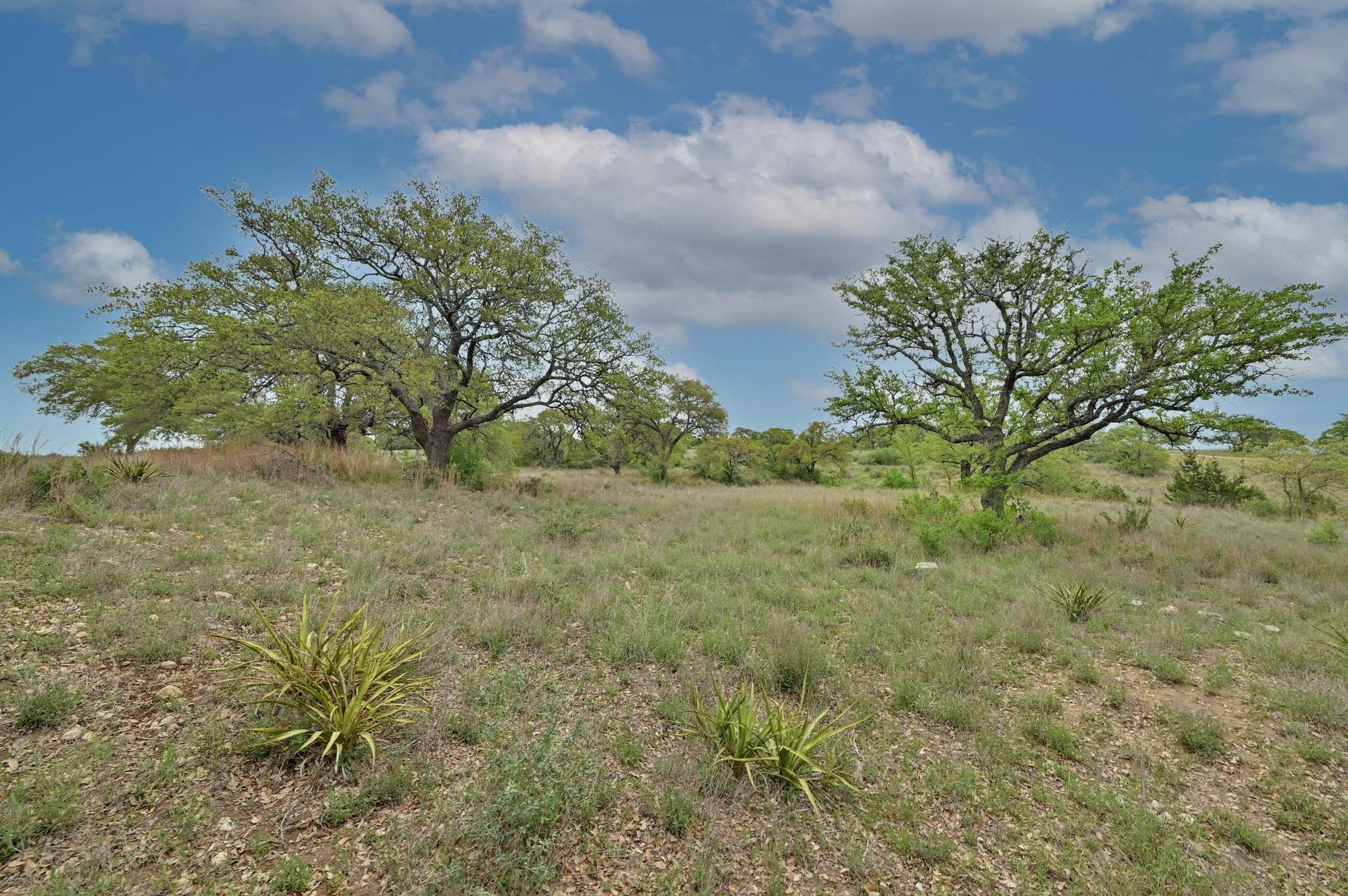 Image 25 of 27 For 195 Cypress View Dr