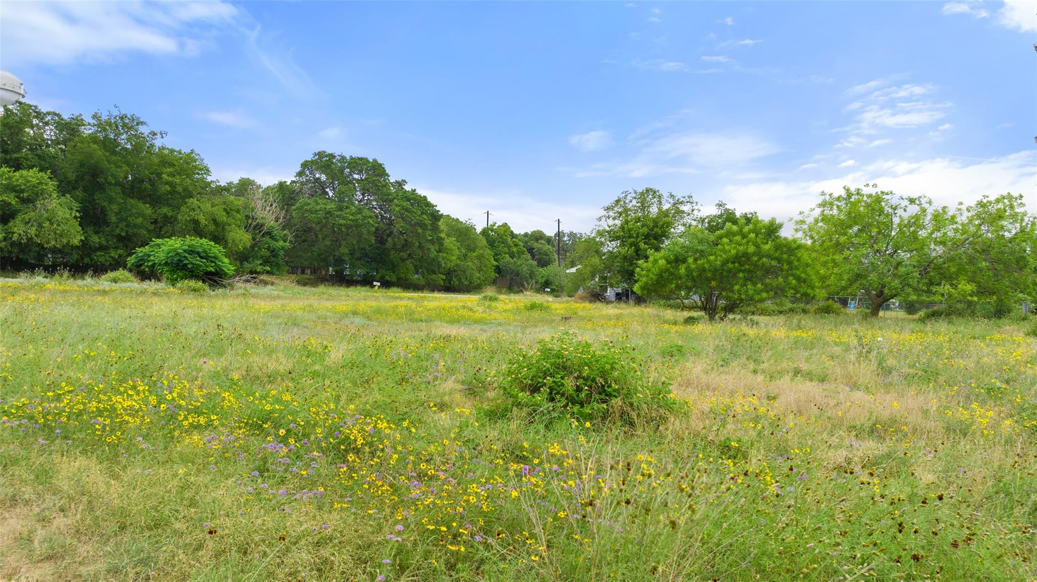 Image 3 of 8 For 1429 Greenlawn Park