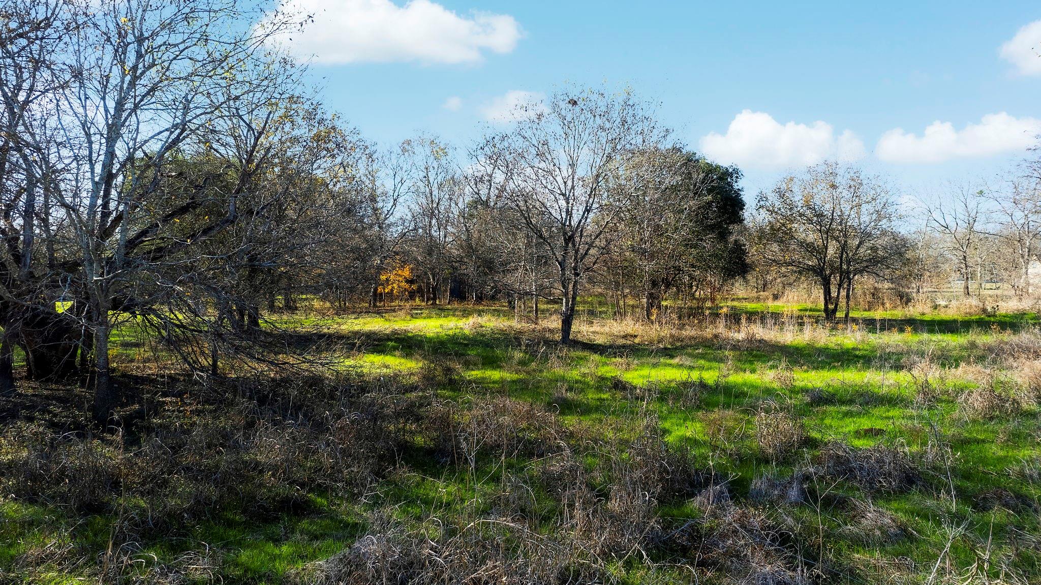 Image 27 of 27 For 12406 Wirth Rd