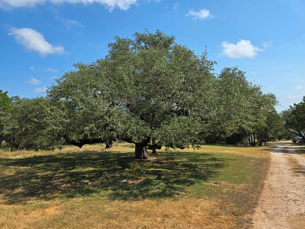 Image 36 of 40 For 639 Bluff Ridge Ct