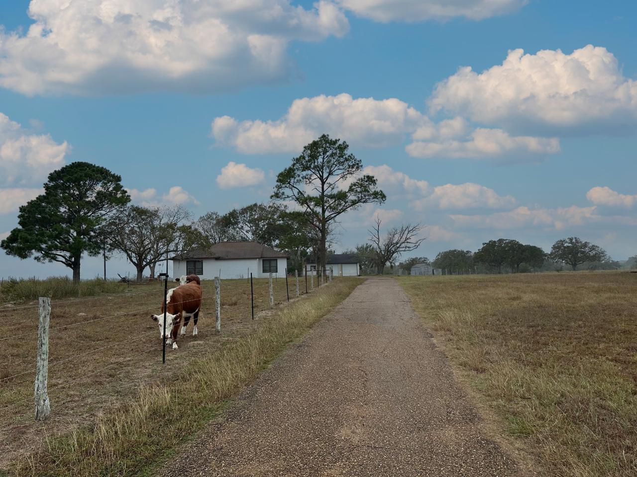 Image 3 of 38 For 1696 Fm 884  