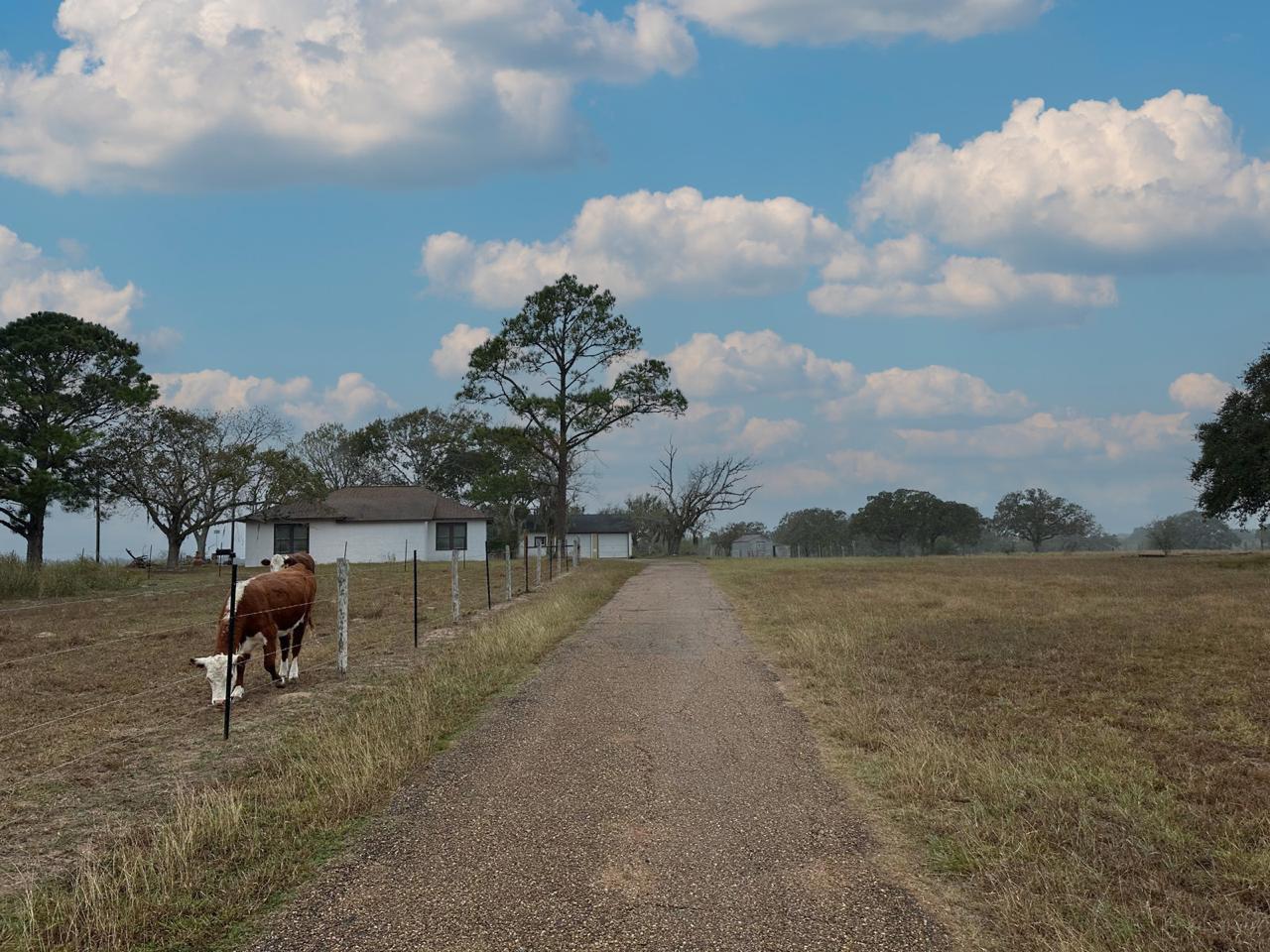 Image 4 of 38 For 1696 Fm 884  