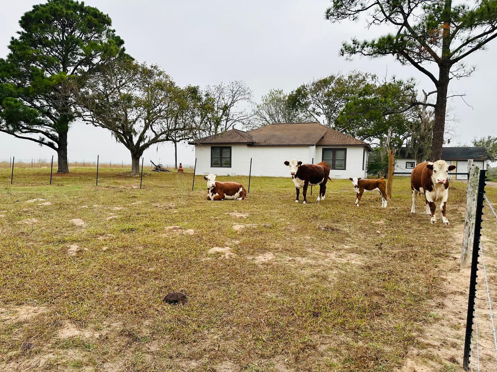 Image 6 of 38 For 1696 Fm 884  