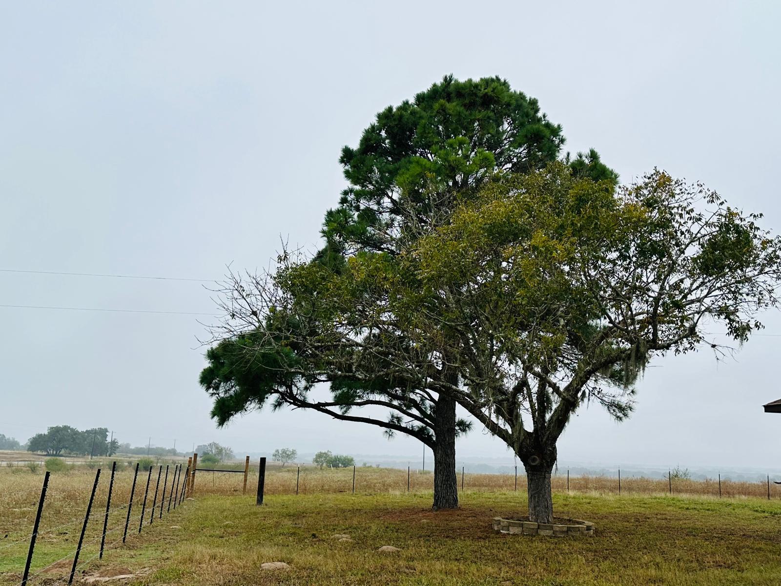 Image 7 of 38 For 1696 Fm 884  