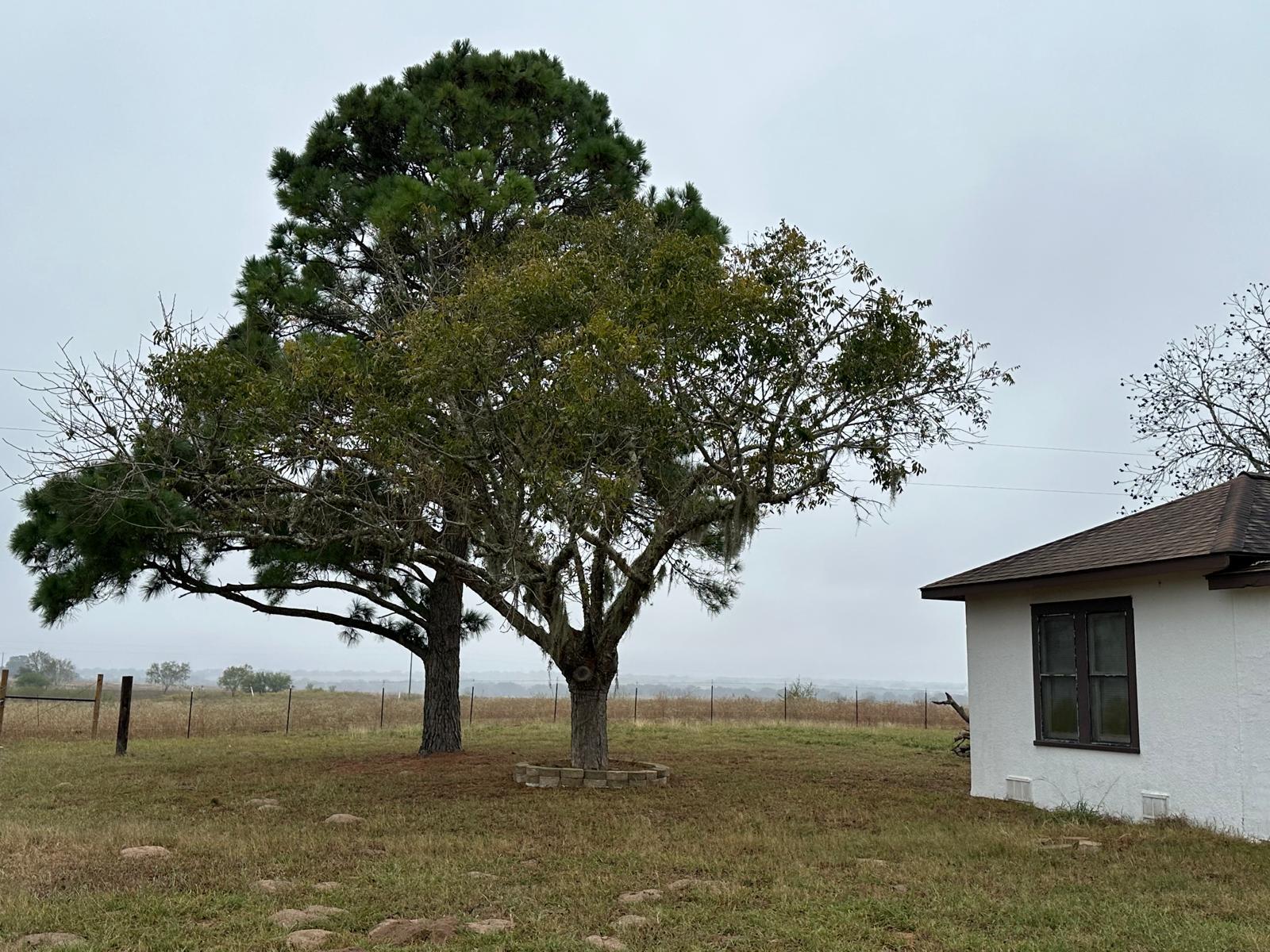 Image 9 of 38 For 1696 Fm 884  