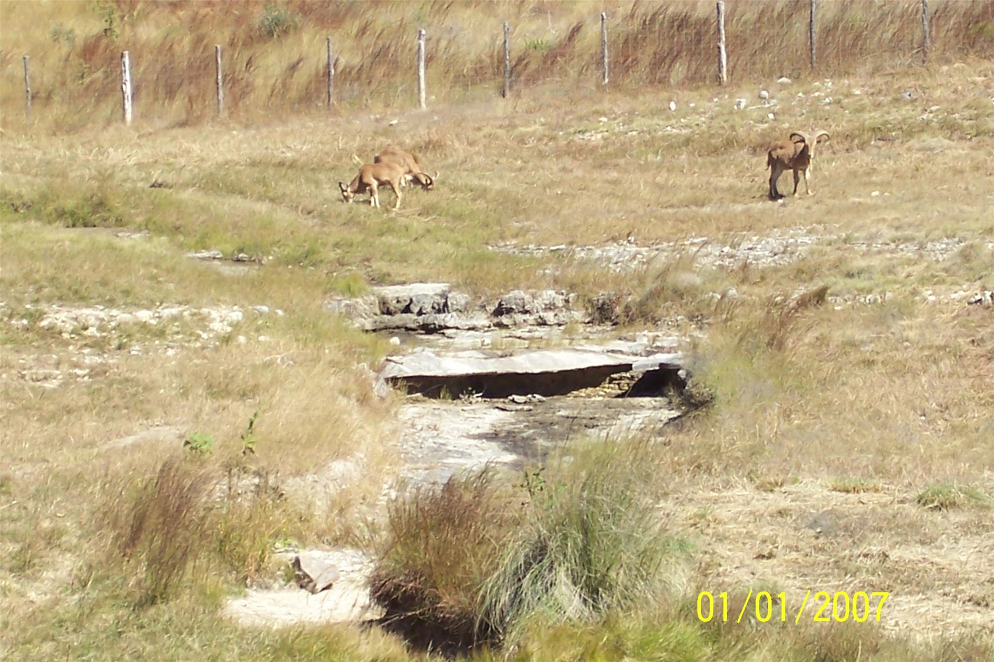 Image 18 of 24 For 1059 Ranger Ridge Aly