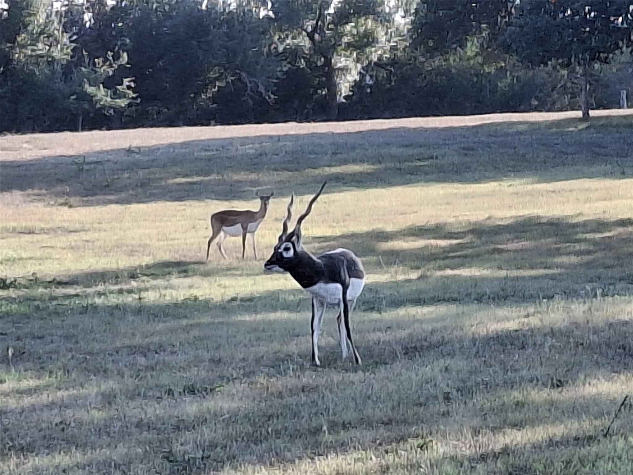 Image 24 of 24 For 1059 Ranger Ridge Aly