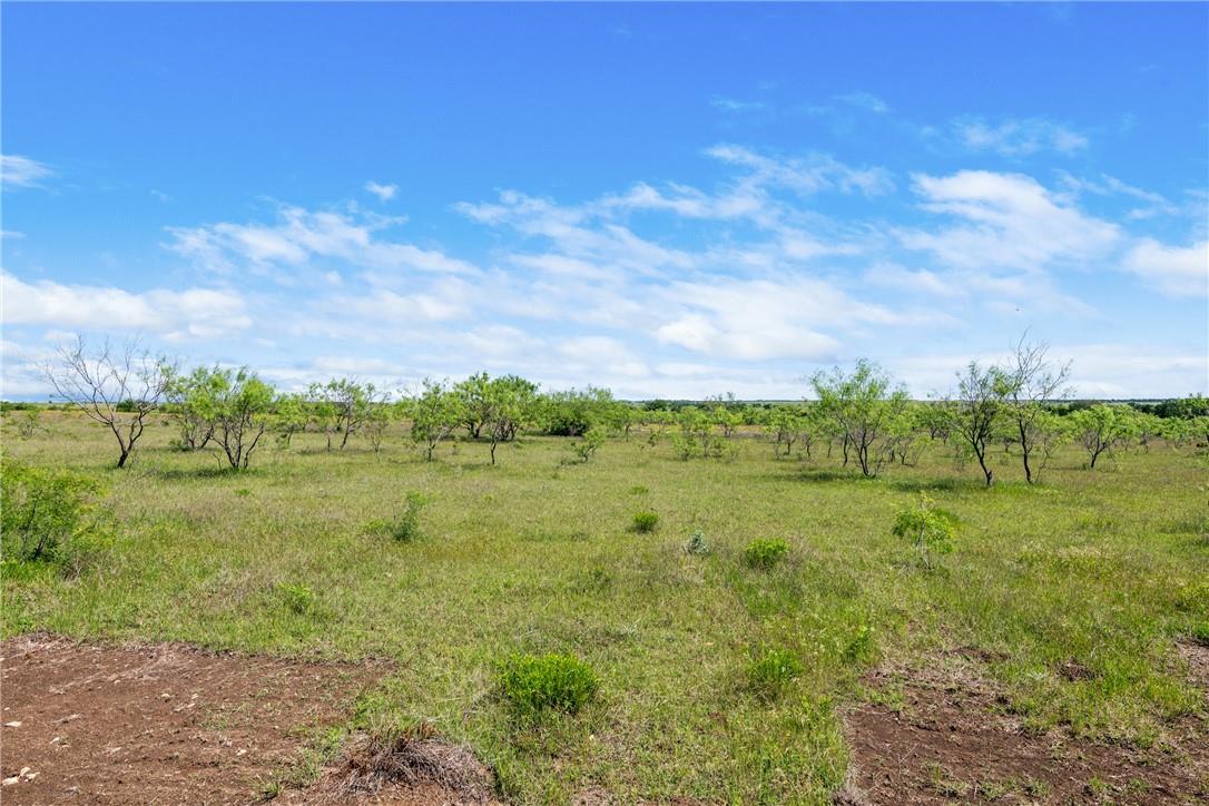 Image 16 of 33 For Tbd County Road 276