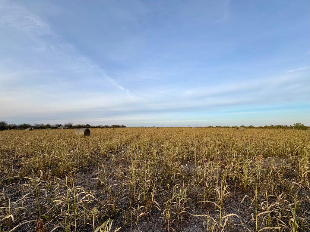 Details for 366 County Road 123, Buckholts, TX 76518