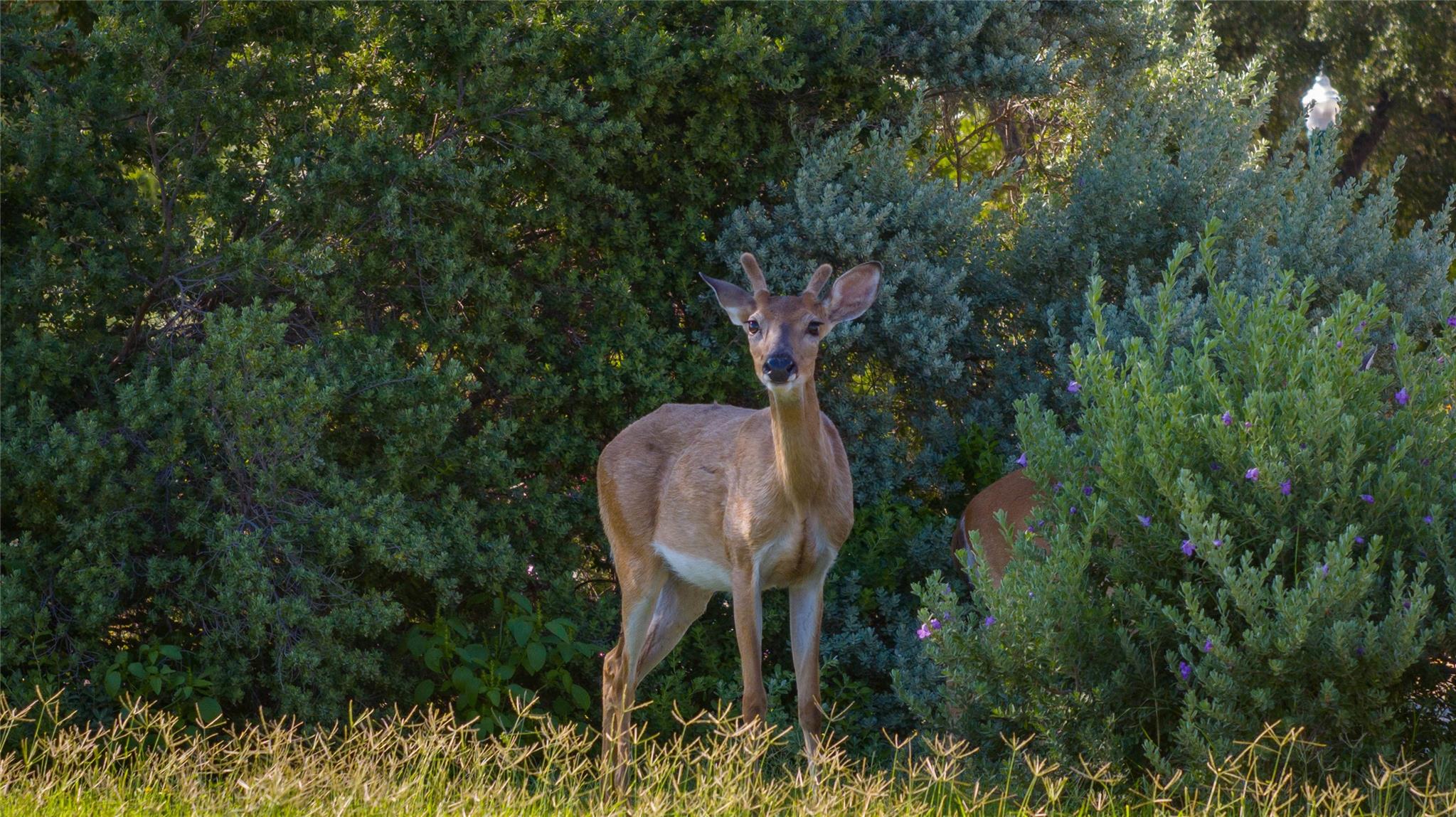 Image 35 of 38 For 758 Mission Hts