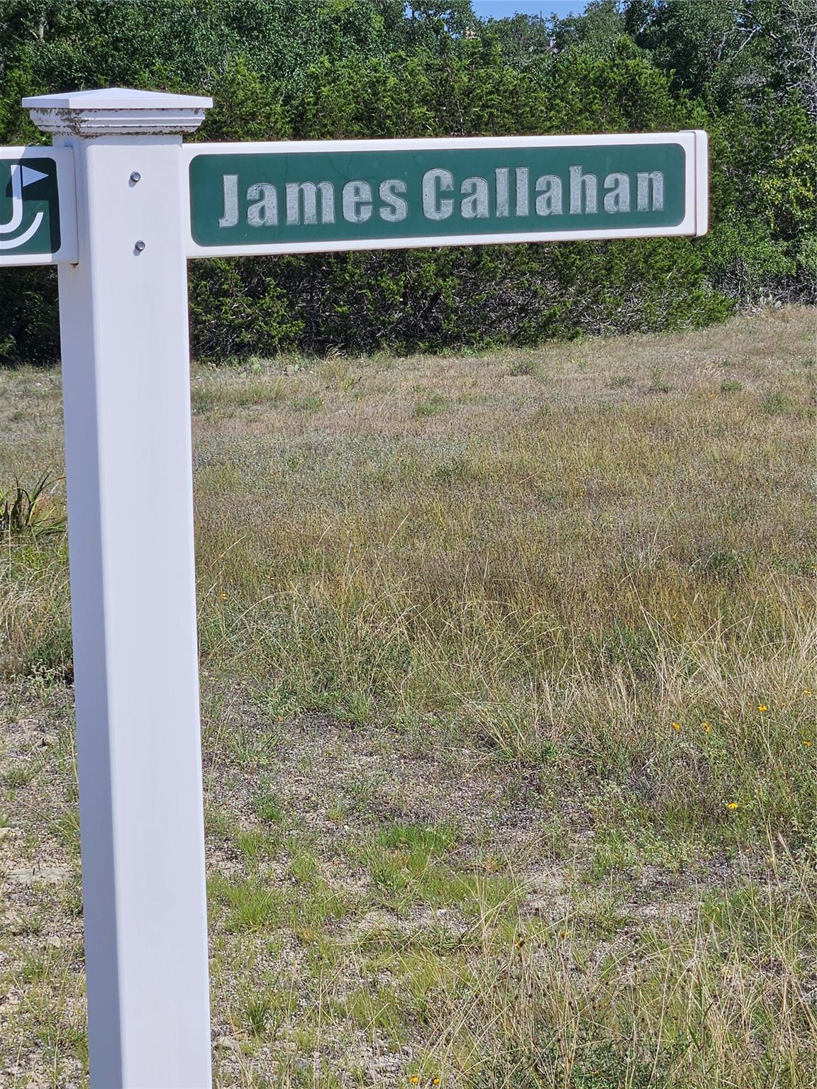 Details for 103 James Callahan, Blanco, TX 78606