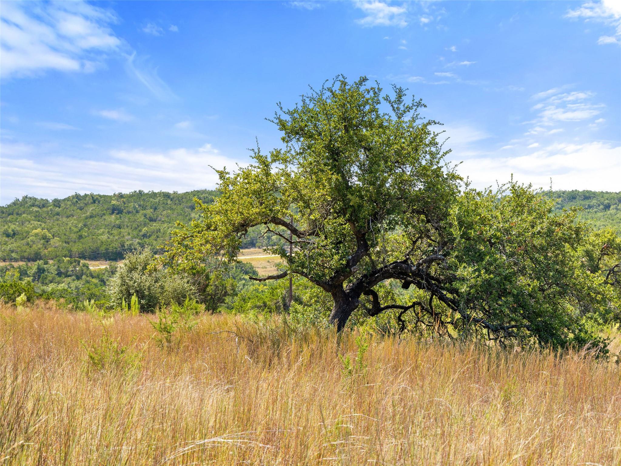 Image 38 of 40 For 5818 Ranch Road 165