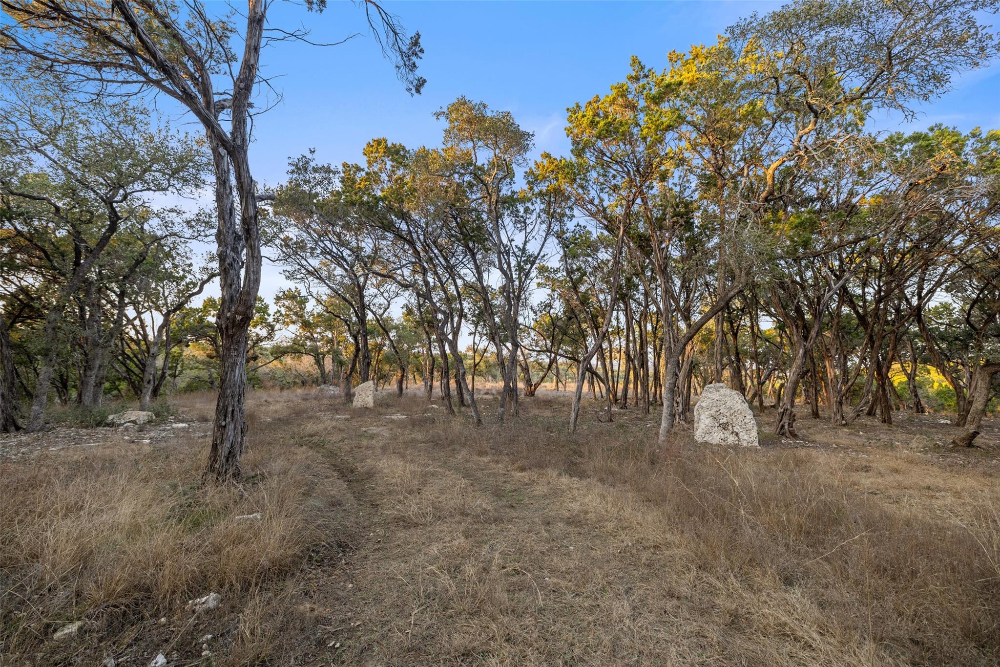 Image 19 of 22 For 5946 Grotto Creek Ct