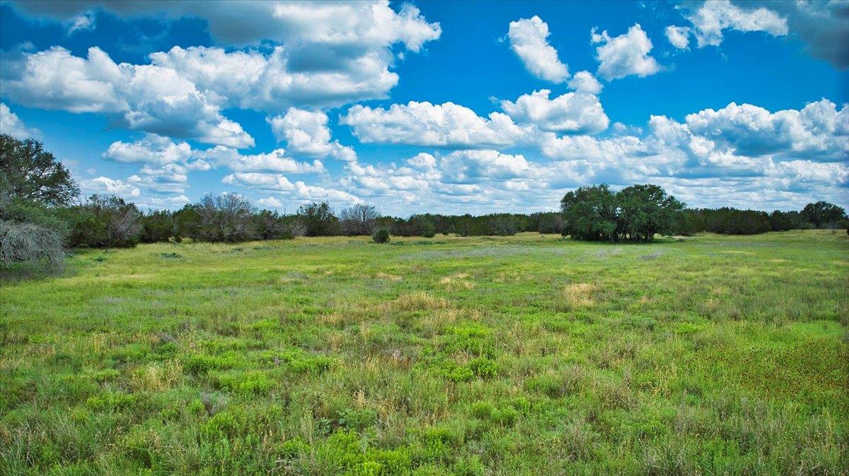 Image 13 of 19 For 555 Summer Hill Ln