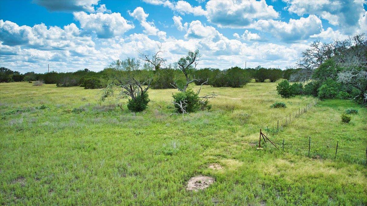 Image 14 of 19 For 555 Summer Hill Ln