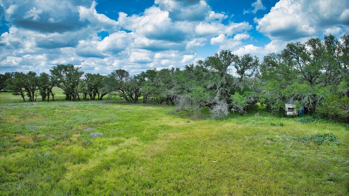 Image 7 of 19 For 555 Summer Hill Ln