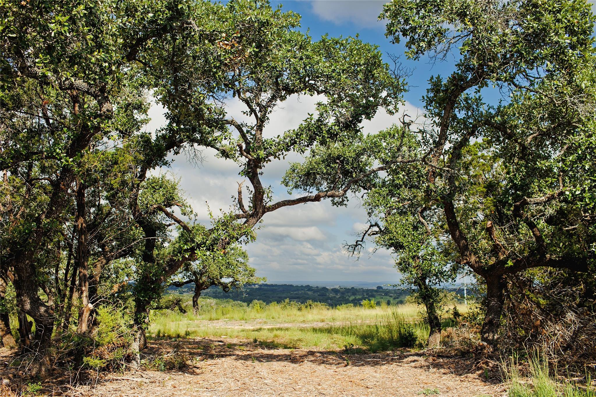 Image 3 of 22 For Lot 11 Ridgeway Trl