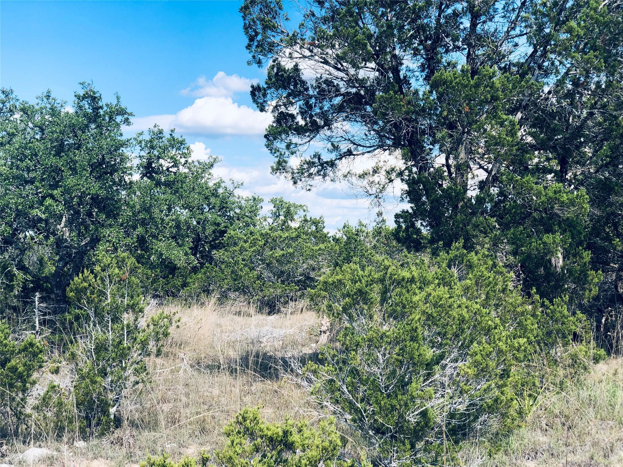 Details for 1020 Cliff Circle Dr, Spring Branch, TX 78070