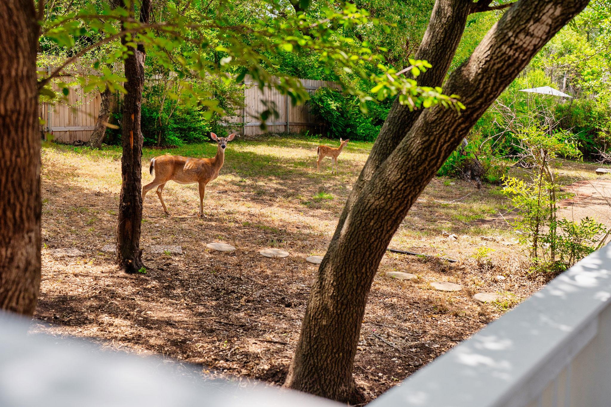 Image 29 of 38 For 10905 Chateau Hl