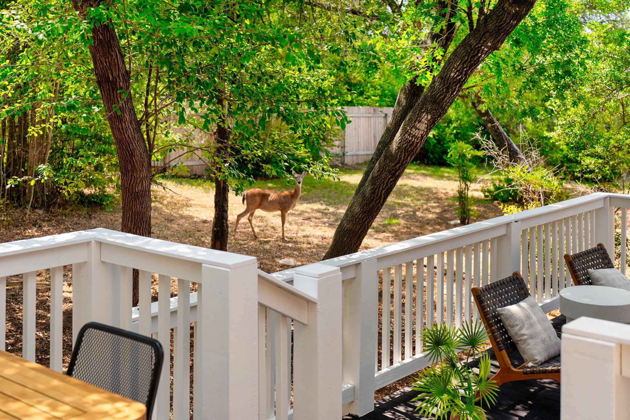 Image 30 of 38 For 10905 Chateau Hl