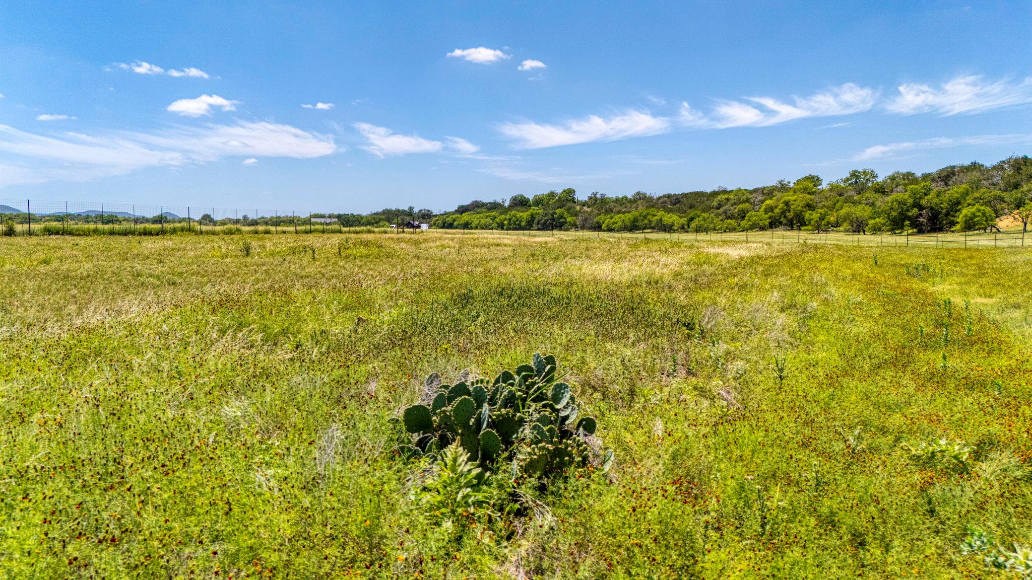 Image 32 of 34 For 13132 State Highway 16 Highway