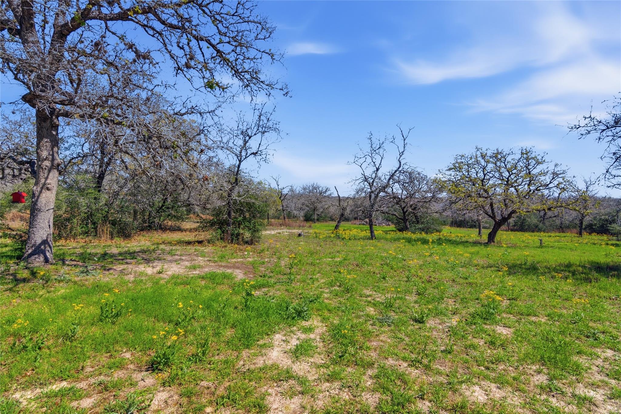 Image 30 of 38 For 155 Guadalupe Ranch Ln