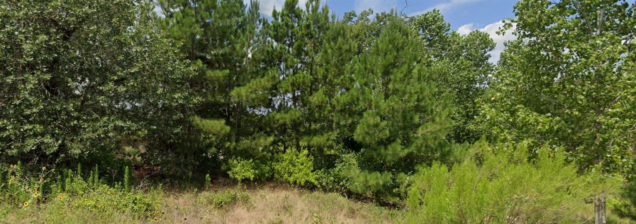 Details for 001 Kipahulu Ln, Bastrop, TX 78602