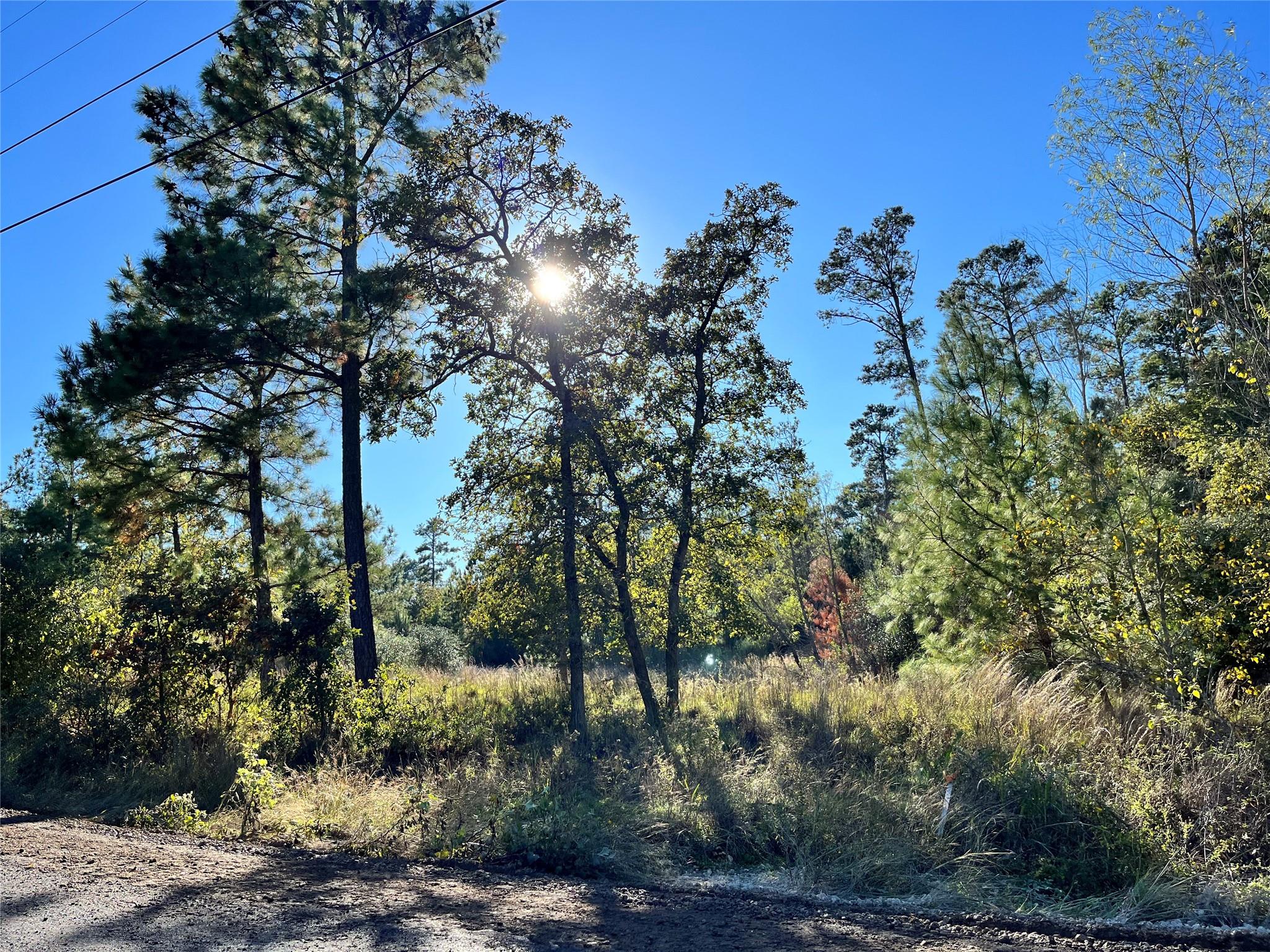 Details for Lot 1511 Haleakala Ln, Bastrop, TX 78602