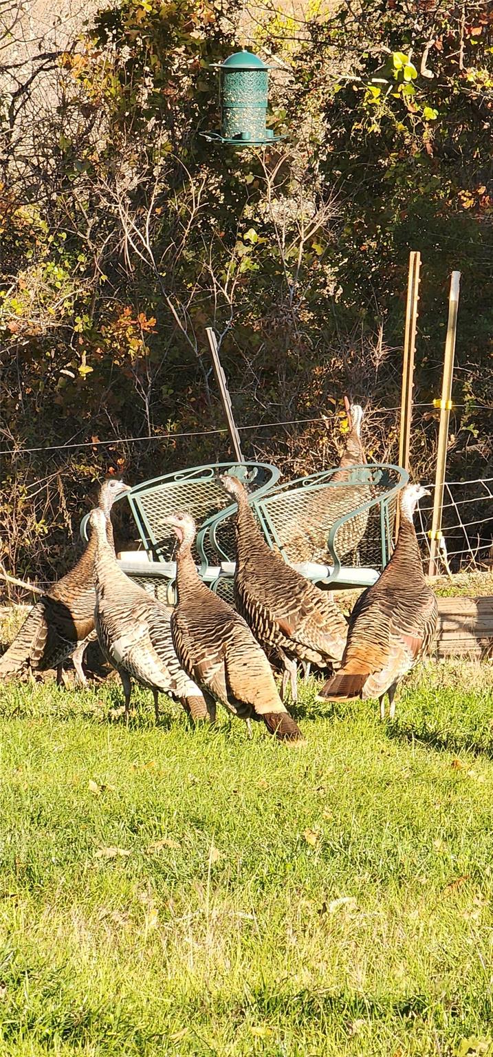 Image 37 of 38 For 2354 Fm 2438