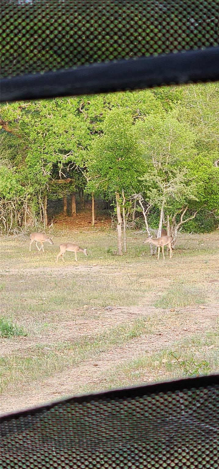 Image 38 of 38 For 2354 Fm 2438