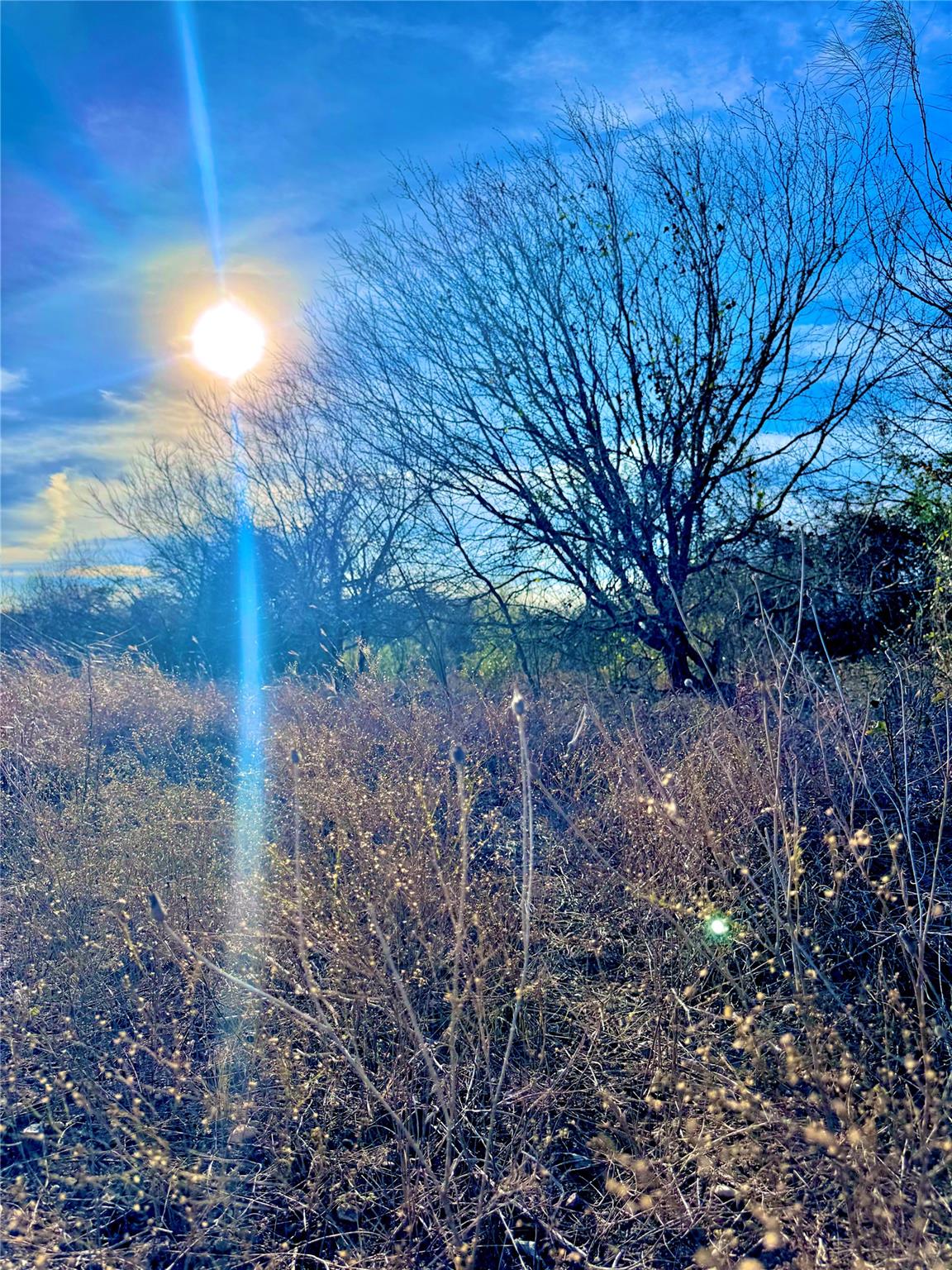 Image 11 of 13 For Tbd Tract H Scull Rd