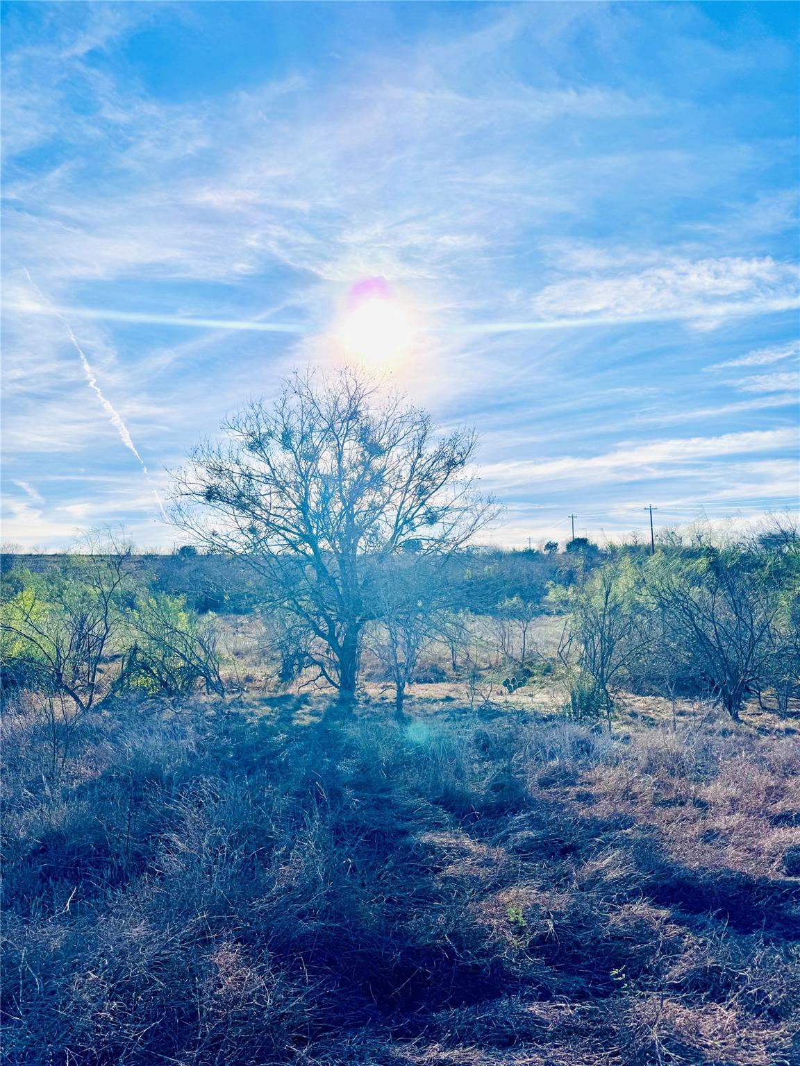 Image 7 of 13 For Tbd Tract H Scull Rd