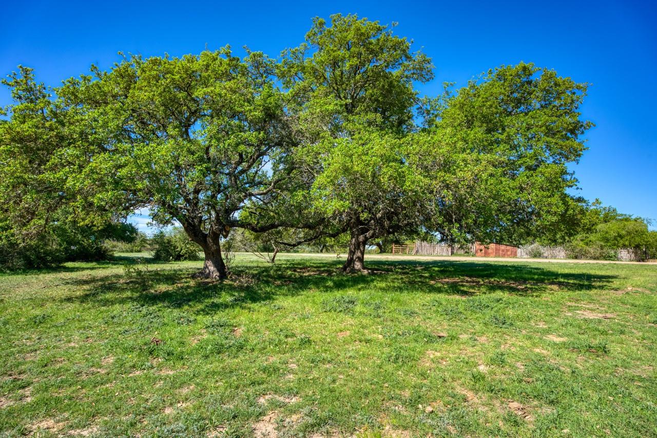 Image 10 of 40 For 2347 Mtn Pasture Ranch Rd