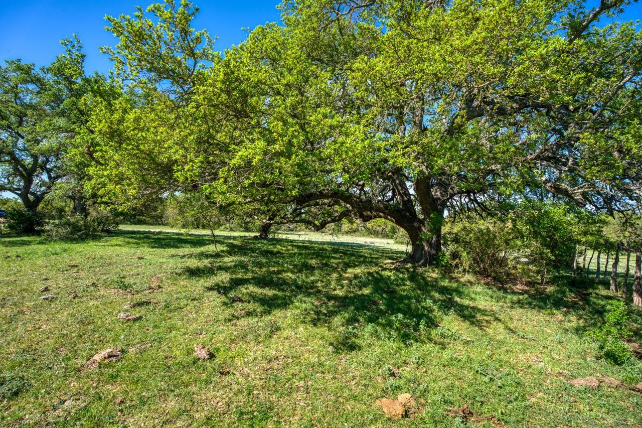 Image 12 of 40 For 2347 Mtn Pasture Ranch Rd